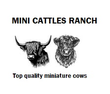 MINI CATTLES RANCH